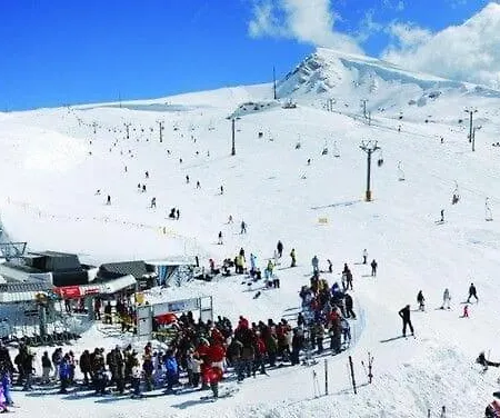 Livadi The Perfect Family Vacation *